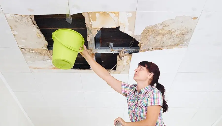 Person holding a bucket under a collapsed ceiling tile to catch water leaking from above