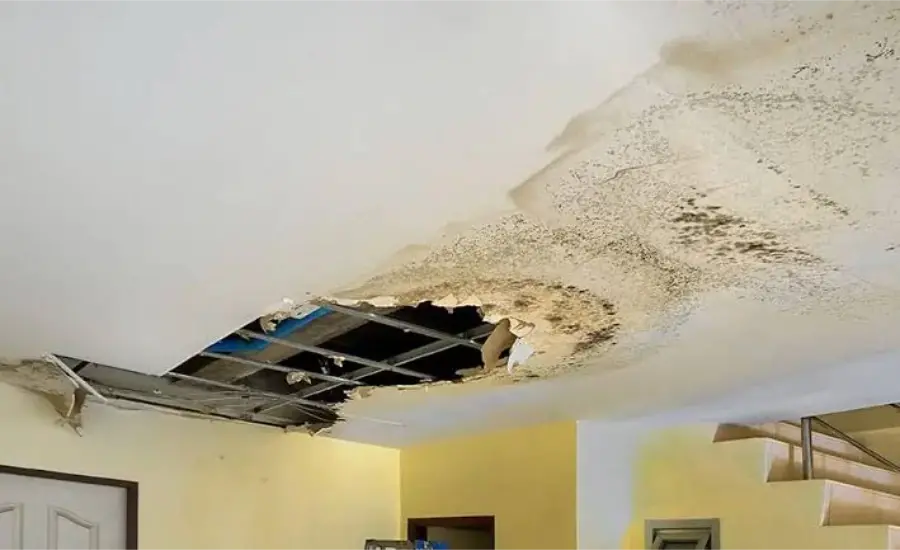 Collapsed ceiling drywall with brown water stains and mold spots after a long-running leak from above